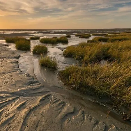 Maison Pause Et Mer Fort-Mahon-Plage